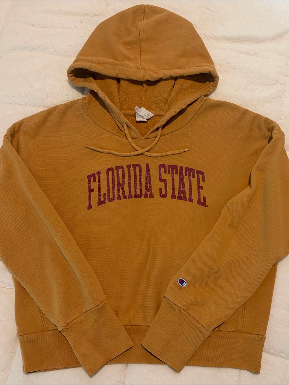*Vintage* Champion FSU Hoodie